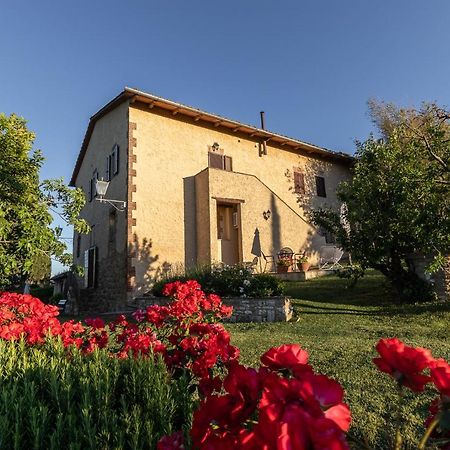 Agriturismo Casanova Asciano Exterior photo