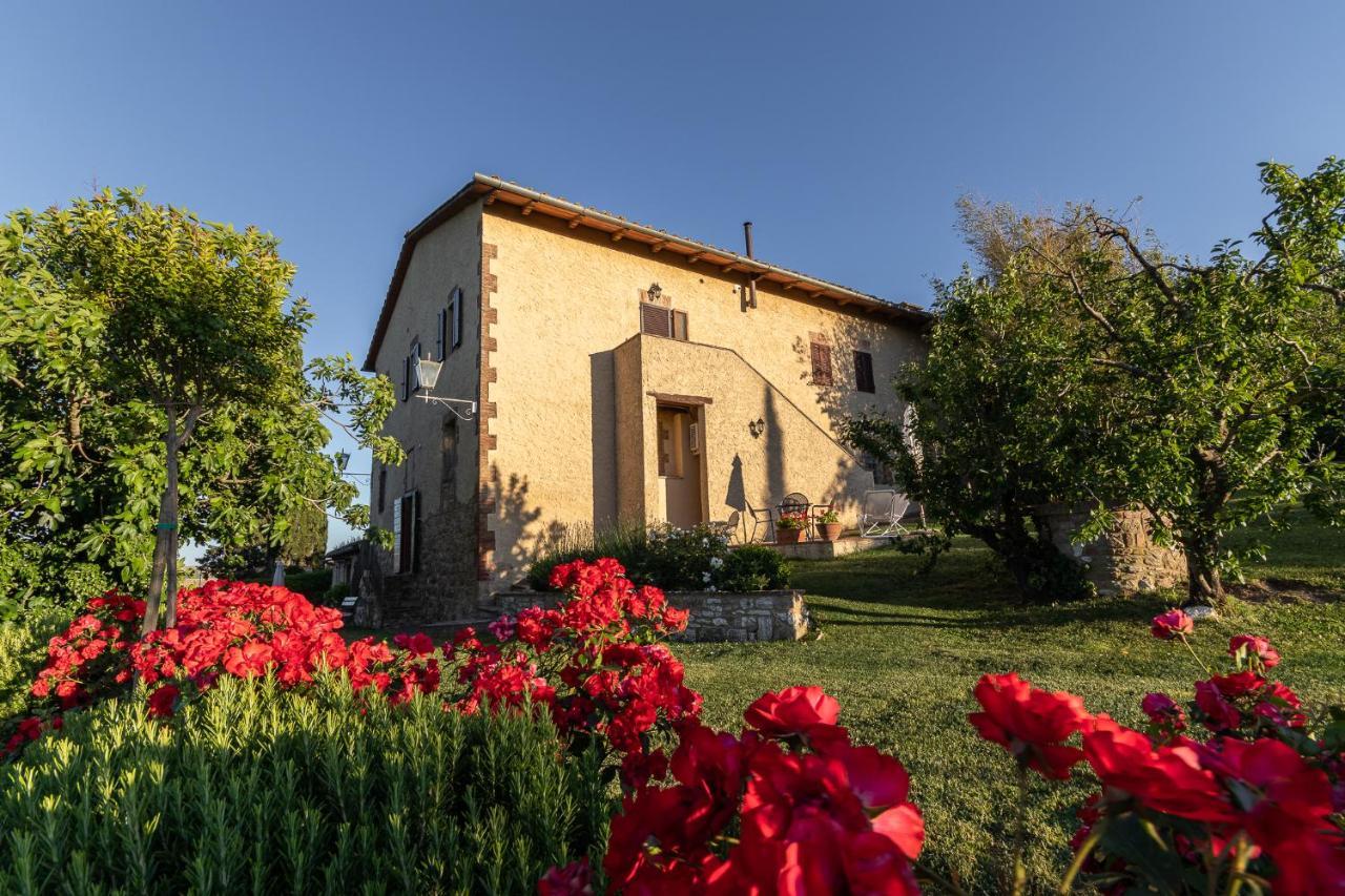 Agriturismo Casanova Asciano Exterior photo