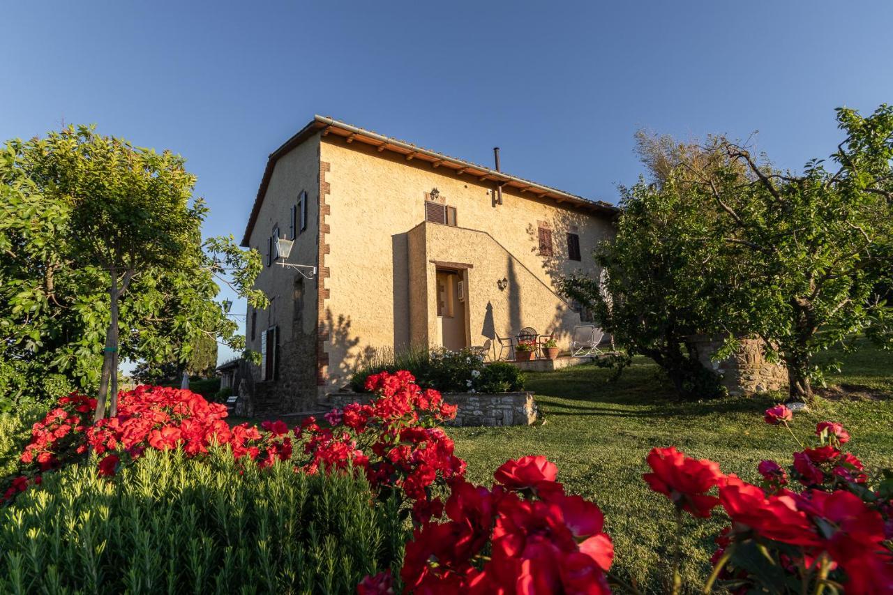 Agriturismo Casanova Villa Asciano Exterior photo